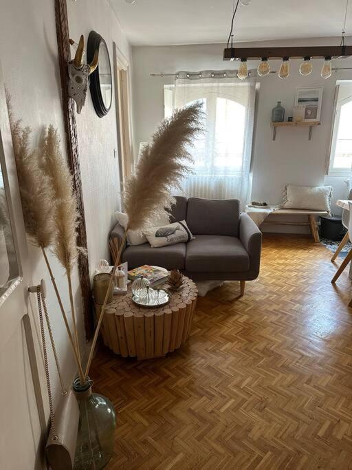 Appartement Carmes, Hypercentre 圖盧茲 外观 照片